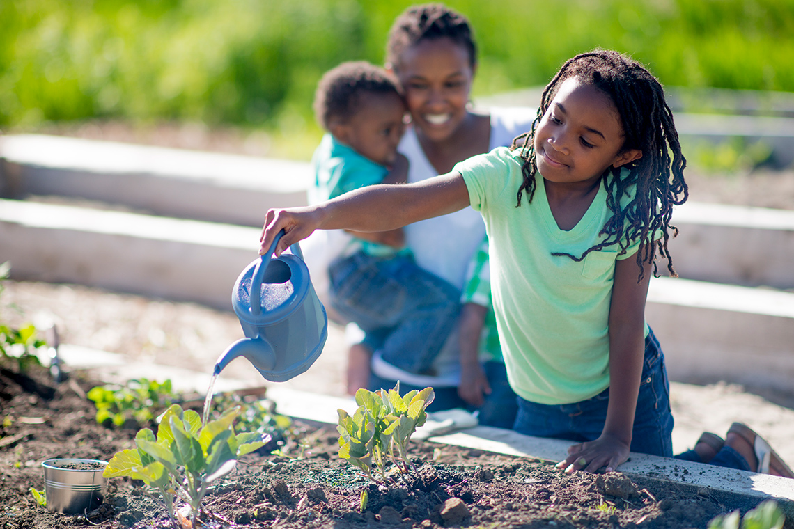 Watering Plants