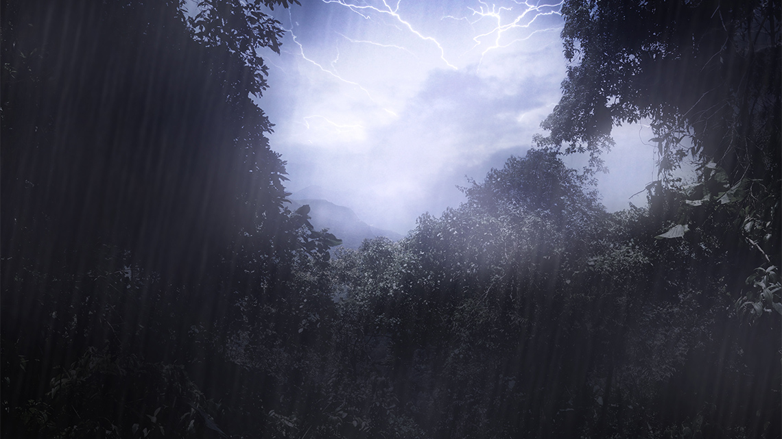 A dark cloudy sky with lightning bolts streaking across is seen above dark trees in a forest as the rain falls heavily during a storm.
