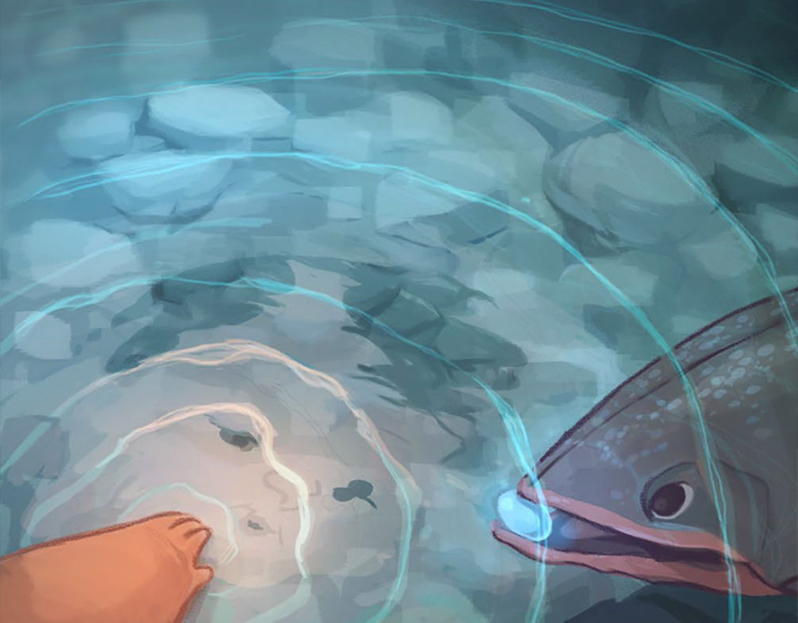 A baby looks at their reflection in the water as an Arctic char swims up to their hand.