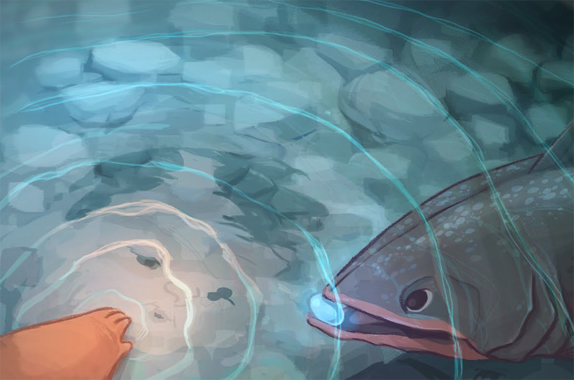 A baby looks at their reflection in the water as an Arctic char swims up to their hand.