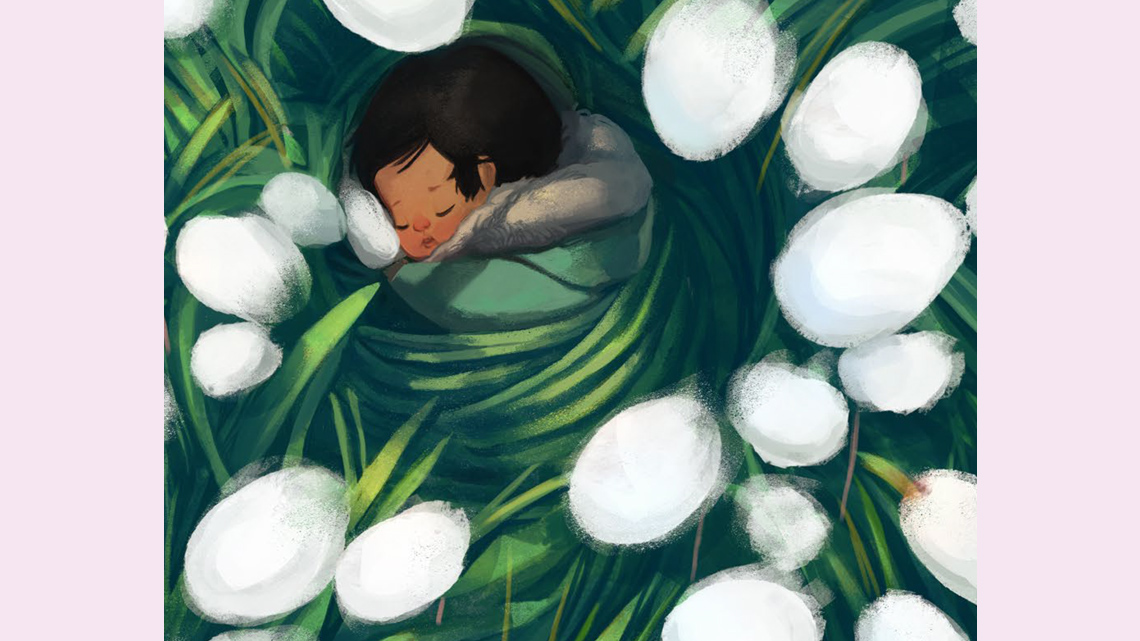 A swaddled baby in the grass surrounded by Arctic cotton.
