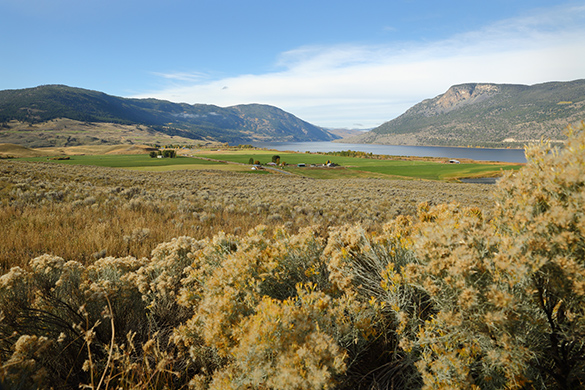 Nicola Lake and Valley in British Columbia, surrounded by large hills, greenery, and a body of water in the background, on a sunny day.