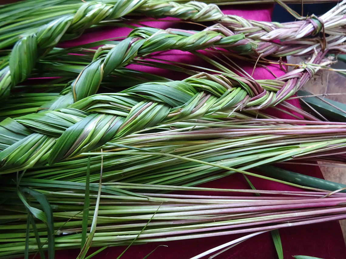 Sweetgrass is long, flat, and bright. Sweetgrass is braided for Indigenous religious ceremonies.