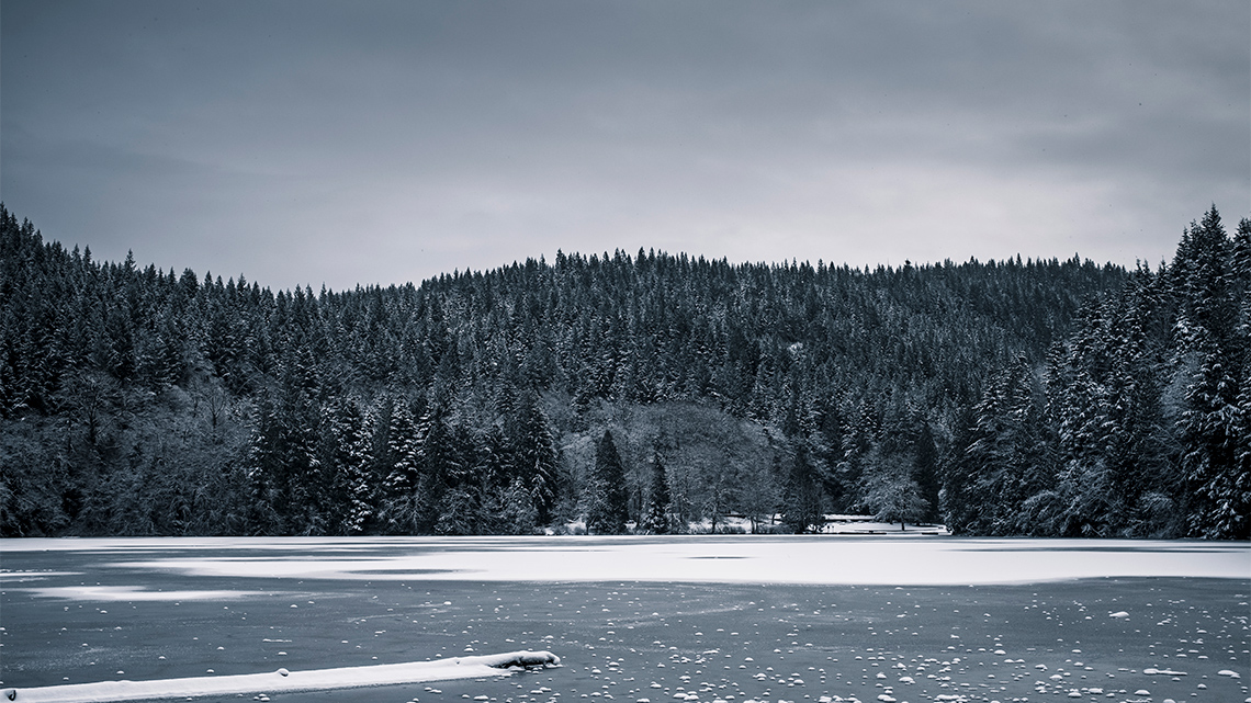 A frozen lake is surrounded by dark-coloured trees on a cold, cloudy, and dark day.