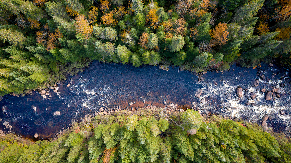 Aerial view of a fast-running river with rocks cutting through a forest, both sides of the forest contain different coloured trees.