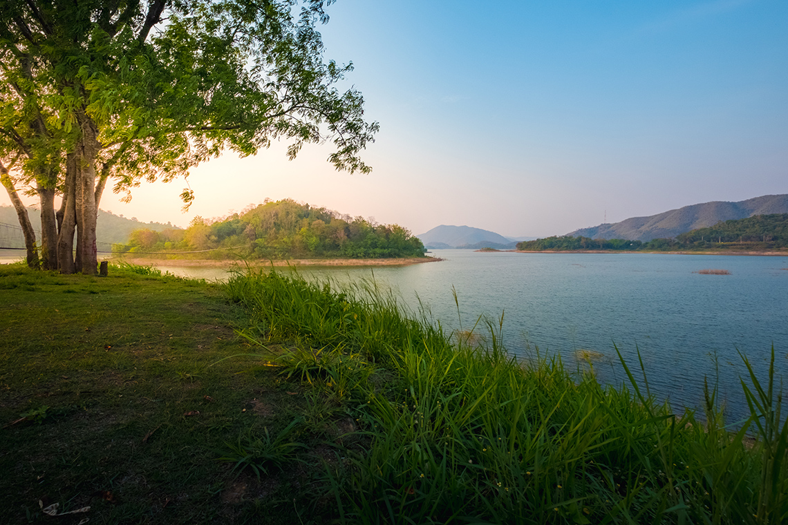 Tall grasses grow along a lakeshore, with tall trees to the left, an island in the background, and low hills on the other side of the lake.