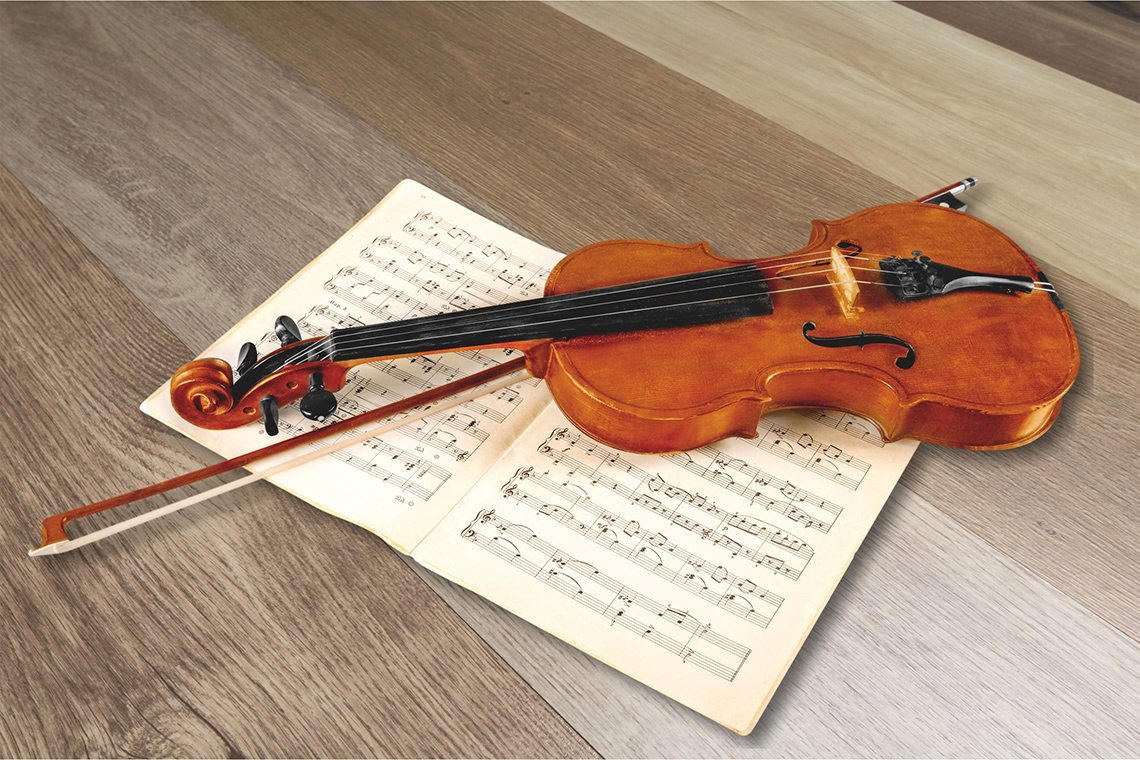A fiddle or violin