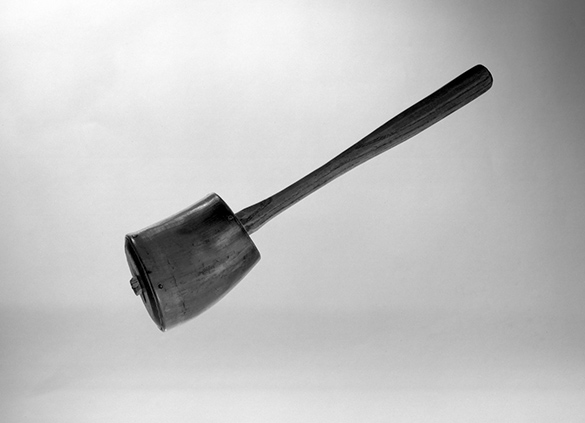 Horn Rattle