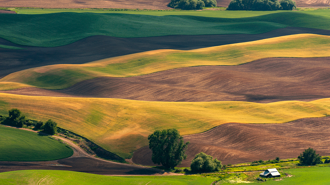 Open land with hills. The ground is a combination of dirt, grasses and vegetation.