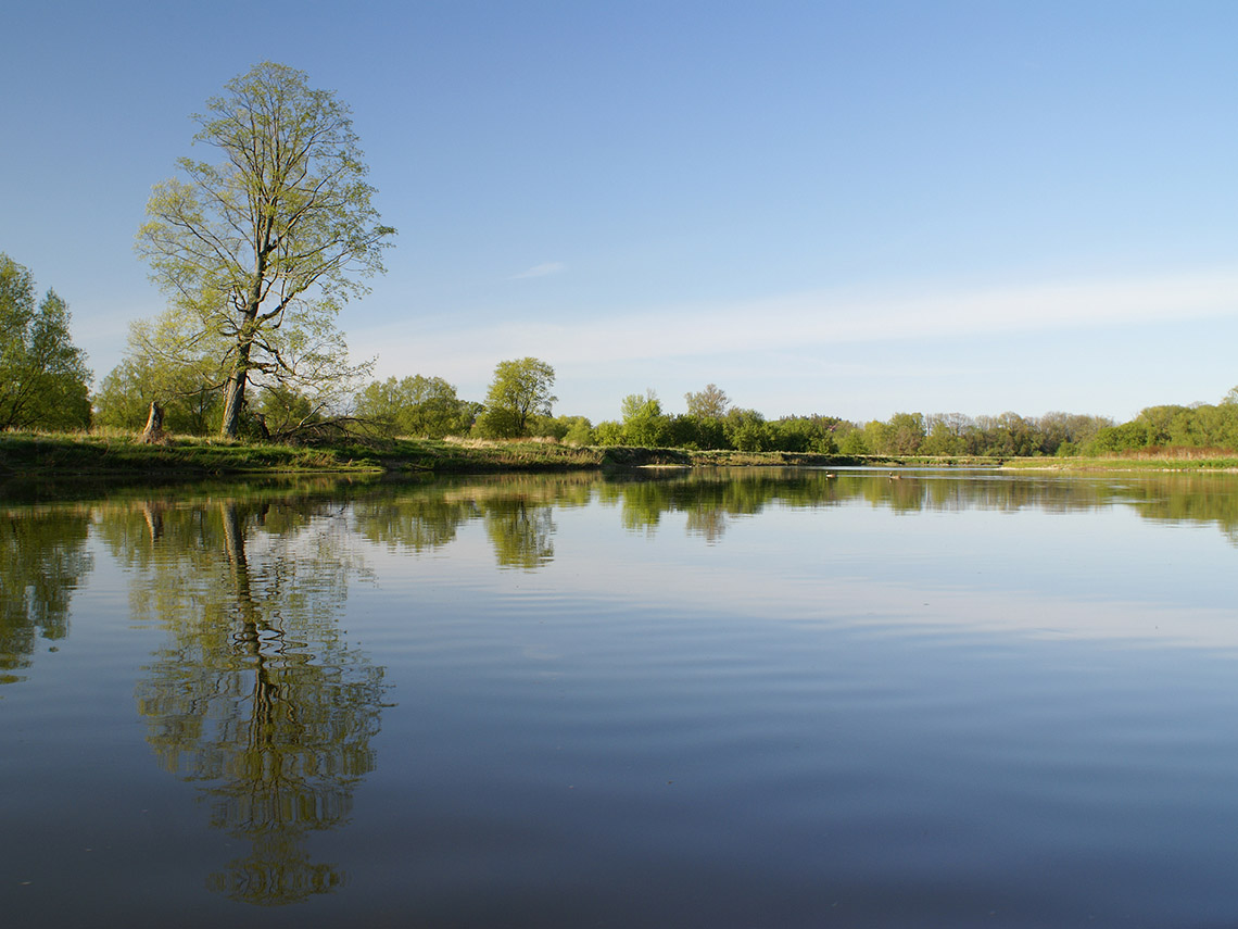 A calm river. There are trees along the side of the river.