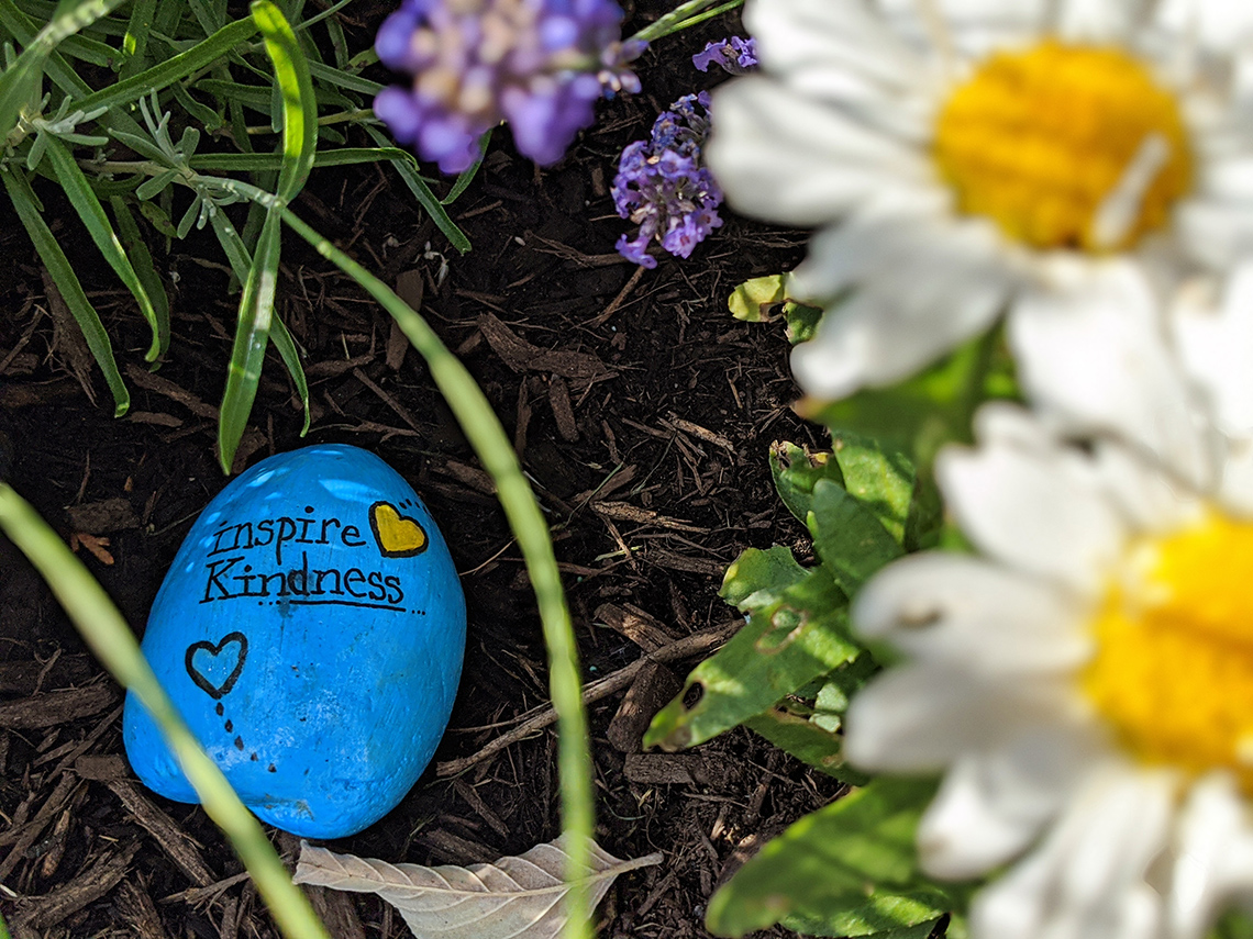 Kindness Rock A cool coloured kindness rock with warm coloured hearts and the words on the ground surrounded by plants