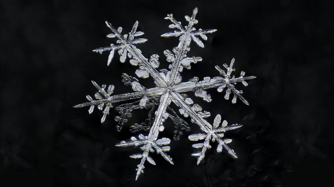 A close-up image of a snowflake against a dark background.