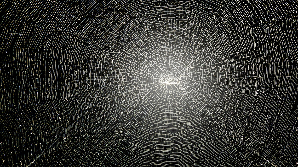 A large, intricate spiderweb against a dark background.