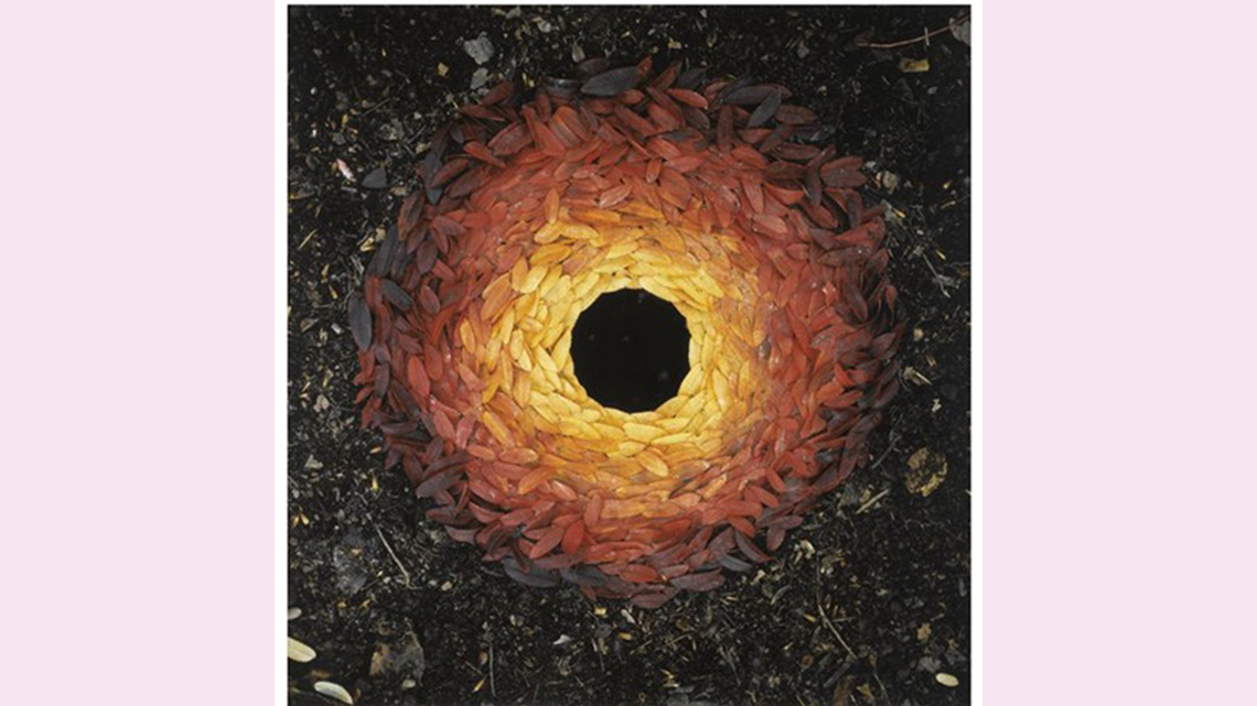 Leaves that change from light value to dark value in a circular pattern are laid around a hole.