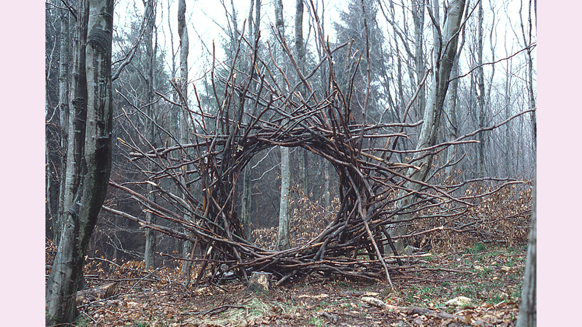 Branches woven in a large vertical circle in a forest.