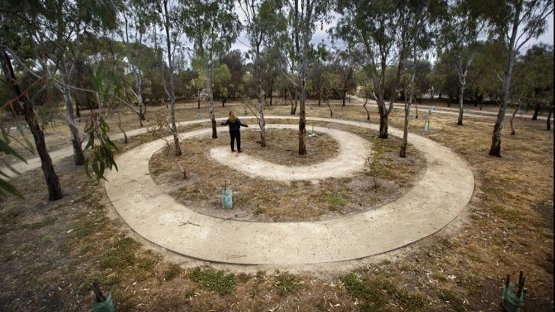 Endangered trees were planted in 5 spirals on a barren section of a water treatment plant.