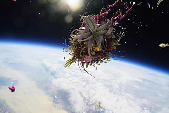 A flower bouquet floating in space above Earth.