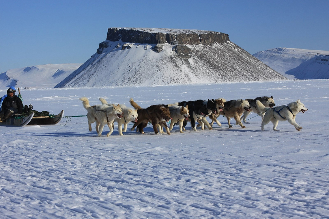 A team of dogs pull a sled with two passengers across the snow as they race past Mount Dundas