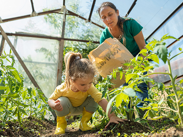 A young girl squatting by a plant in a greenhouse, patting down the soil. A woman behind her is holding a bag labeled 'compost.'