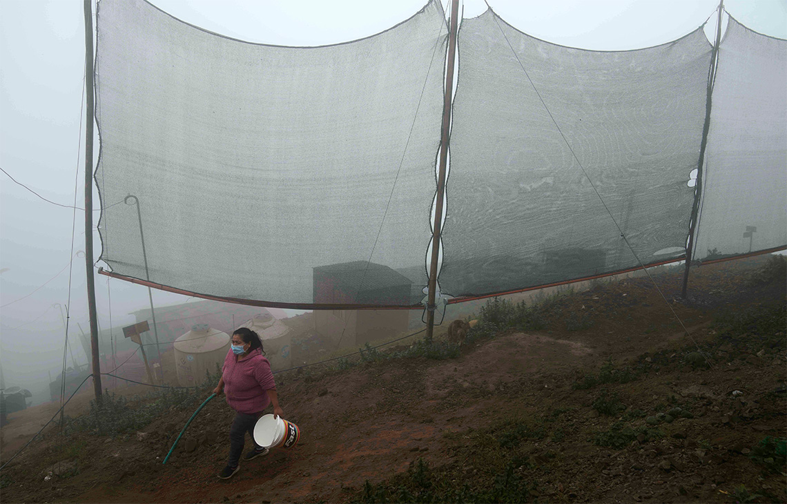 A person carrying a bucket walking past a row of large nets with troughs at the bottom attached to poles on the edge of a hill.