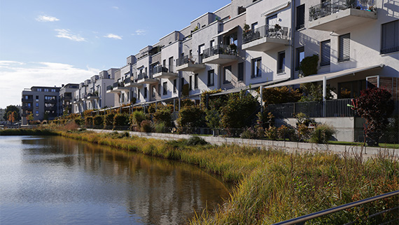 A rainwater retention basin with plants growing out of it.