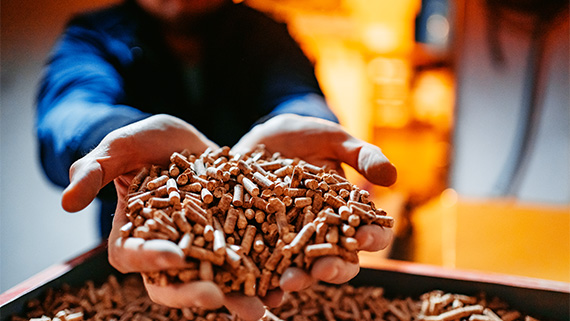Two hands holding up biomass fuel.