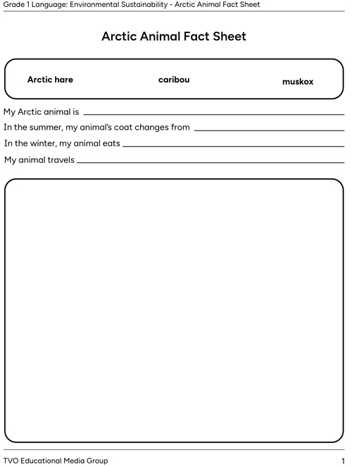 Arctic Animal Fact Sheet 