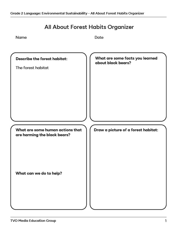 Graphic Organizer