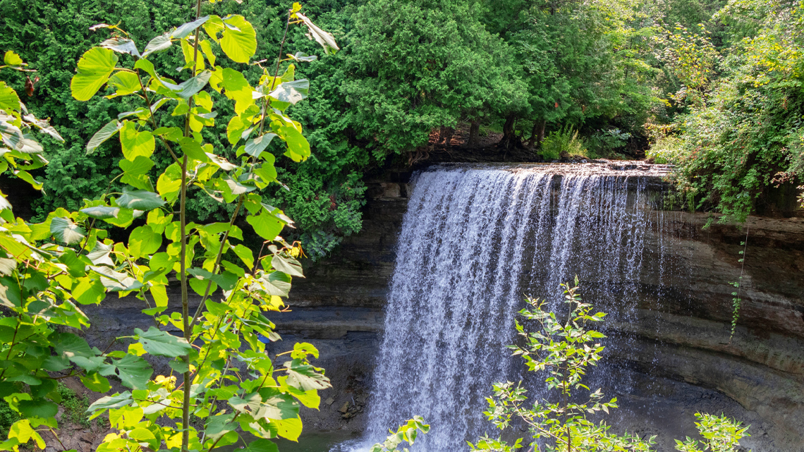 A small waterfall surrounded by a forest.