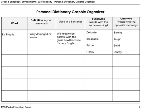 Personal Dictionary Graphic Organizer.