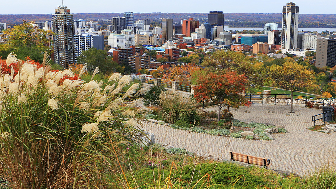 A path with many trees and plants. There are building in the background.