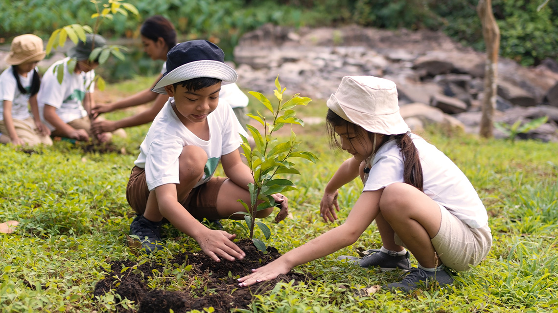Two children squatting by a small tree, patting down the soil around it.