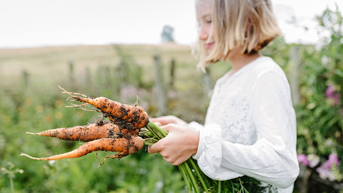 A child standing in a garden and holding carrots that were just pulled from the ground.