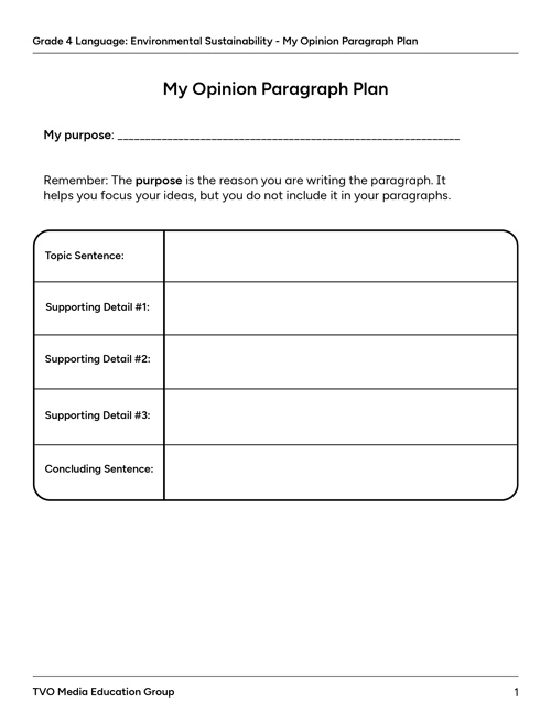 My Opinion Paragraph Plan