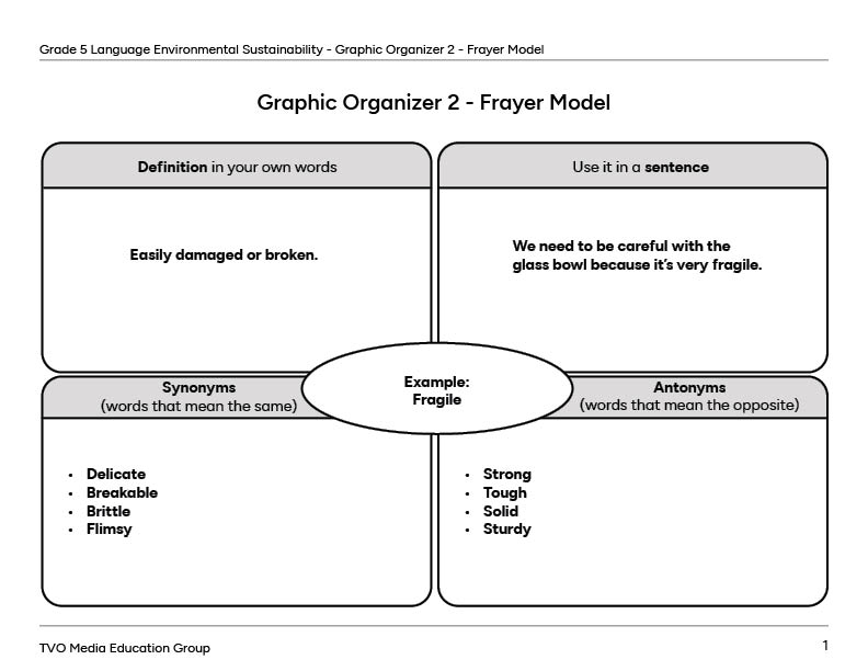 Graphic Organizer 2&nbsp;–&nbsp;Frayer Model