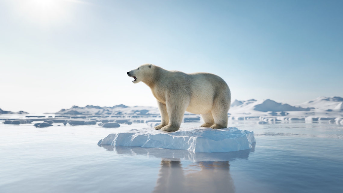 A polar bear standing on an ice surface above water.