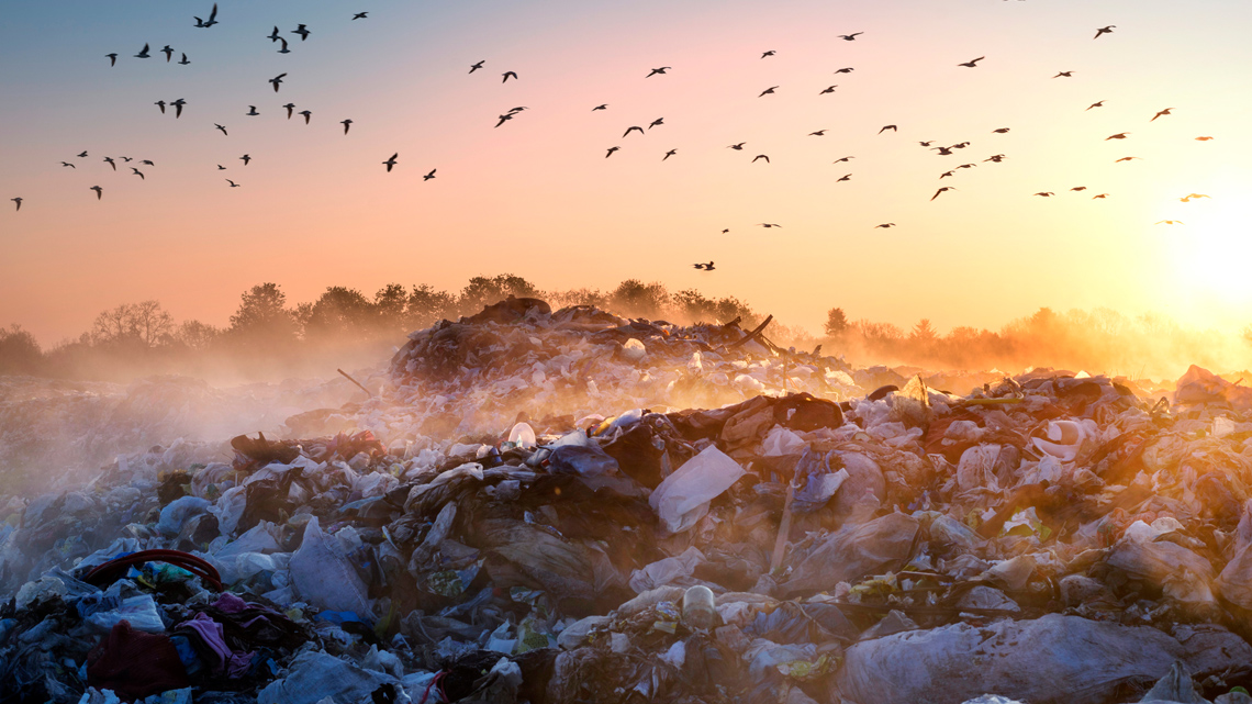 Large piles of garbage in a landfill, with birds flying overhead. The sun sets over the piles, creating a warm light.