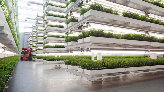 Towering shelves of plants in a massive, extremely high greenhouse