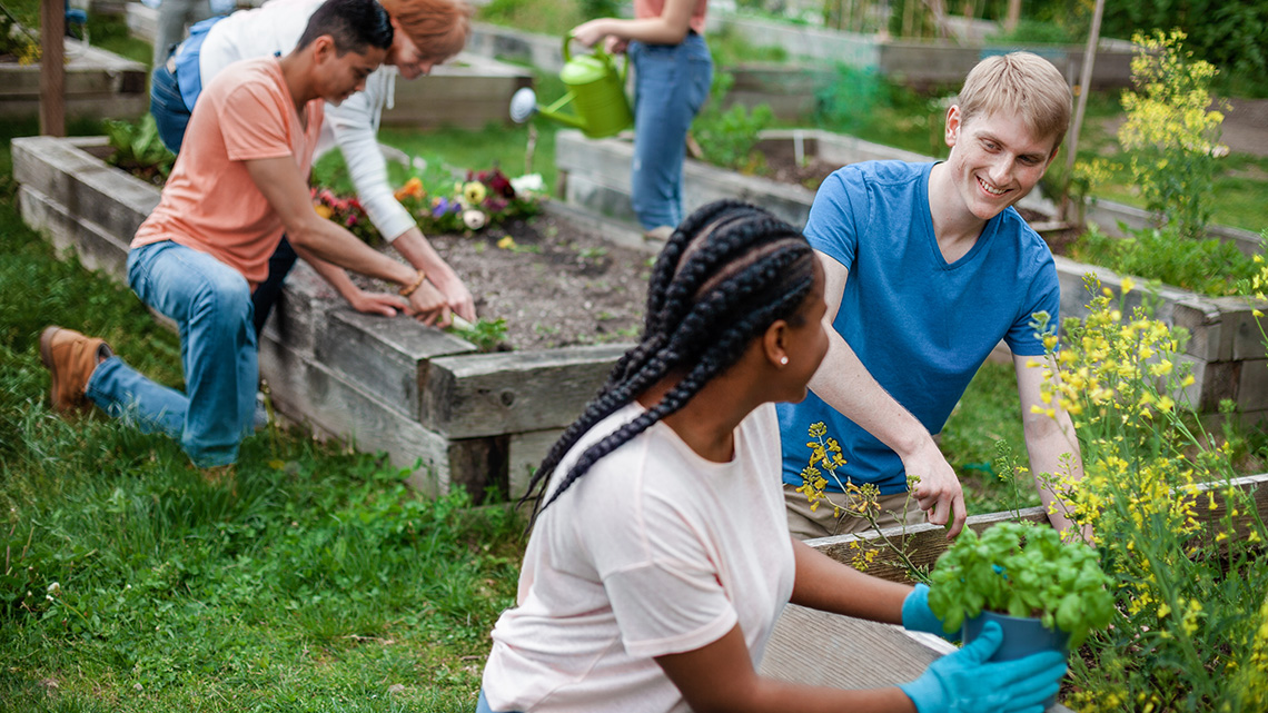 A group of students volunteering at a community garden.