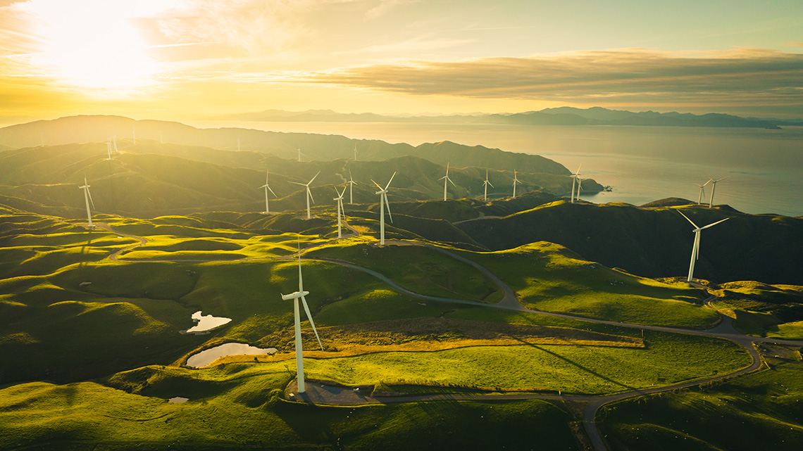 There are multiple windmills on a green landscape. In the background the sun is setting along the water.