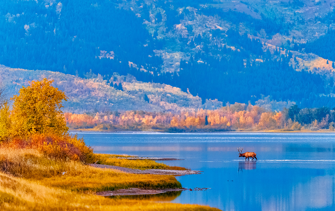 A mountainous and forested landscape with a body of water. A elf walking across the water