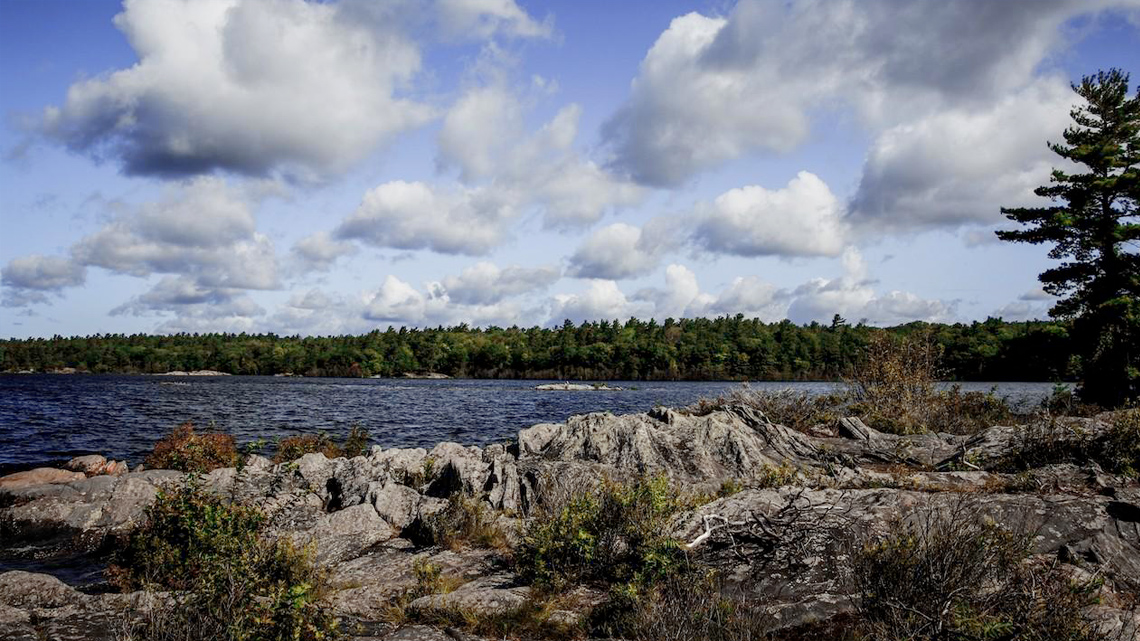 Shawanaga Island in Georgian Bay. It is a view from the water of rocks and trees.
