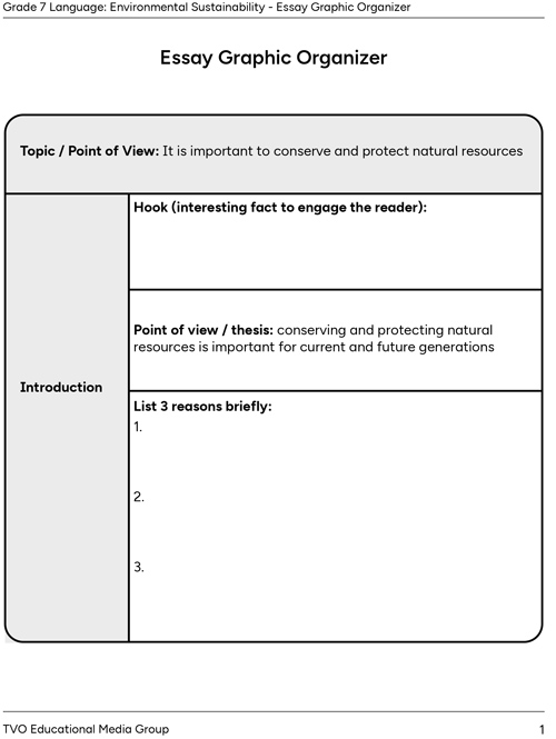 Essay Graphic Organizer