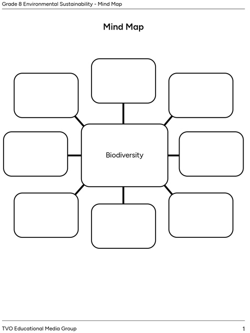 Mind Map