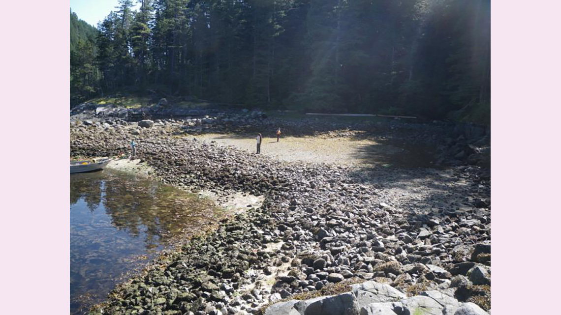 Indigenous clam gardens at Quadra Island, British Columbia, Northwest Coast.