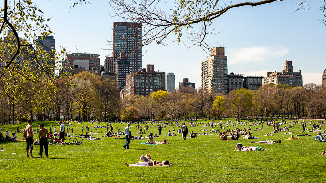 People in the city using the central park recreationally.