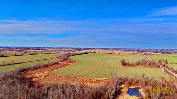 Farm land on the Green Belt.
