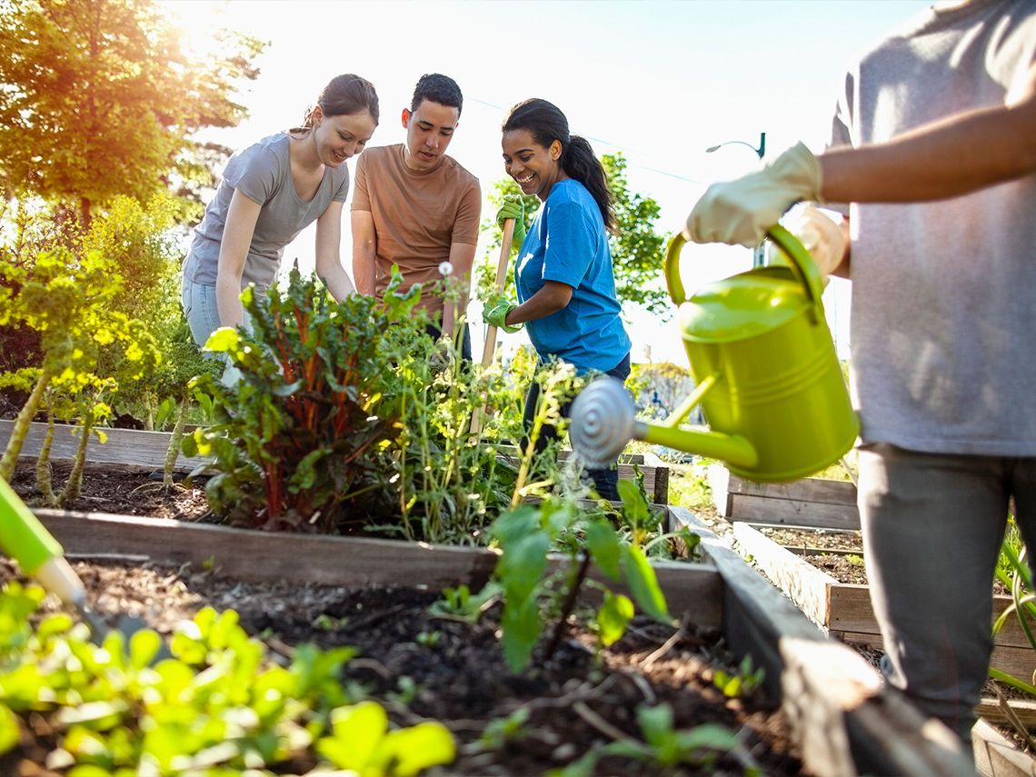 A group of students working in a community garden.
