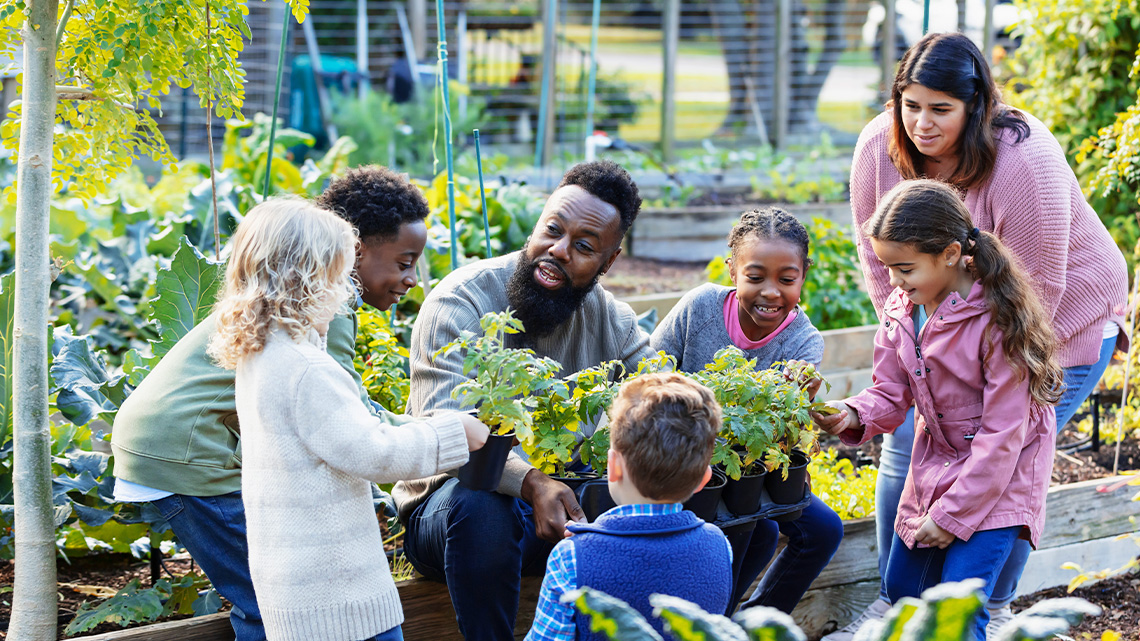 A group of students are gardening together in an urban garden.