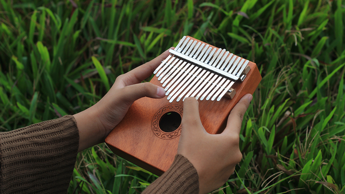 A thumb piano, also called a kalimba.